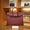 Birkin 25 Togo Rouge H PHW