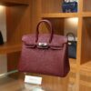 Birkin 25 Togo Rouge H PHW