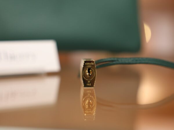 Birkin 25 Togo Malachite GHW