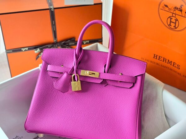 버킨 25 토고 매그놀리아 금장 001_20240731_122959 Birkin 25 Togo Magnolia GHW