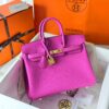 Birkin 25 Togo Magnolia GHW