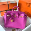 Birkin 25 Togo Magnolia GHW