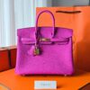 Birkin 25 Togo Magnolia GHW