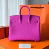 Birkin 25 Togo Magnolia GHW