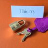 Birkin 25 Togo Magnolia GHW