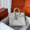 Birkin 25 Togo Mushroom GHW