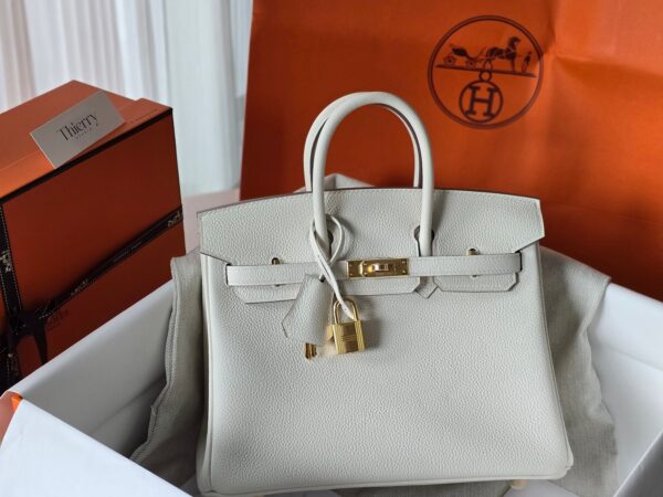 버킨 25 토고 머쉬룸 금장 001_20240720_144833 Birkin 25 Togo Mushroom GHW