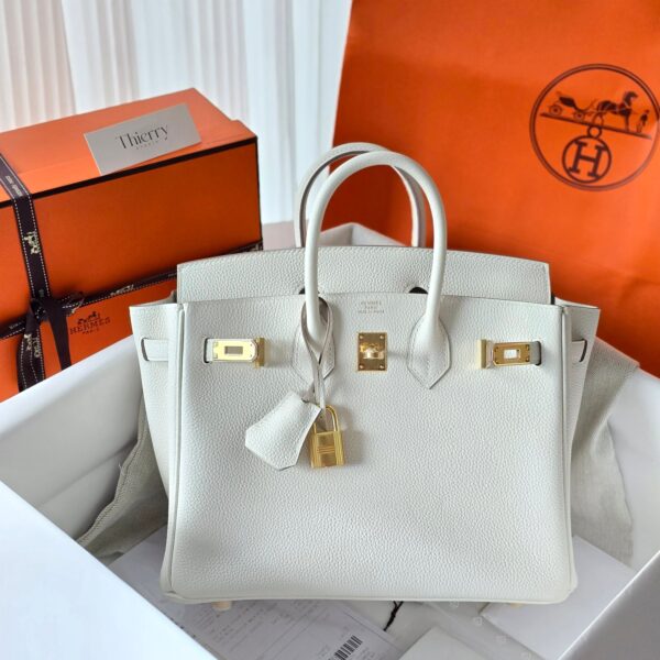 Birkin 25 Togo Mushroom GHW