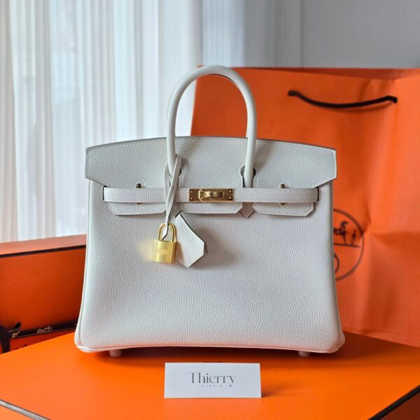 Birkin 25 Togo Mushroom GHW