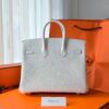 Birkin 25 Togo Mushroom GHW