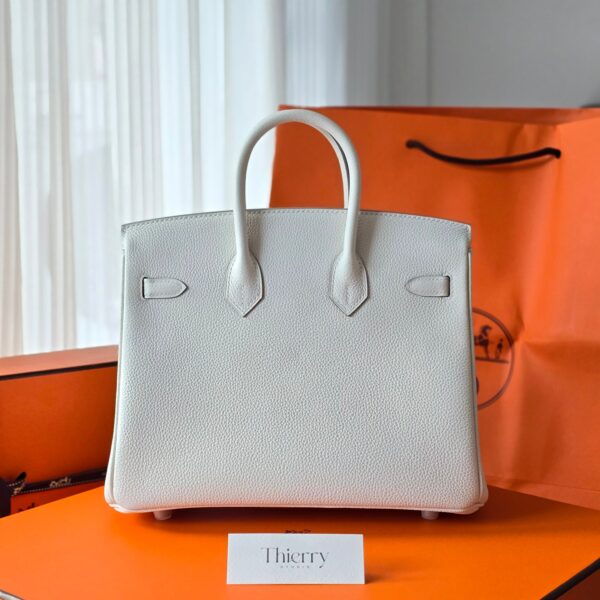 Birkin 25 Togo Mushroom GHW