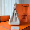 Birkin 25 Togo Mushroom GHW
