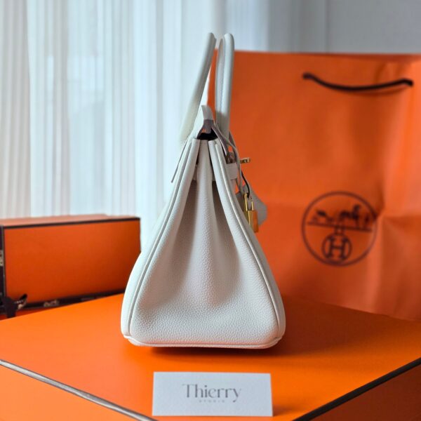 Birkin 25 Togo Mushroom GHW