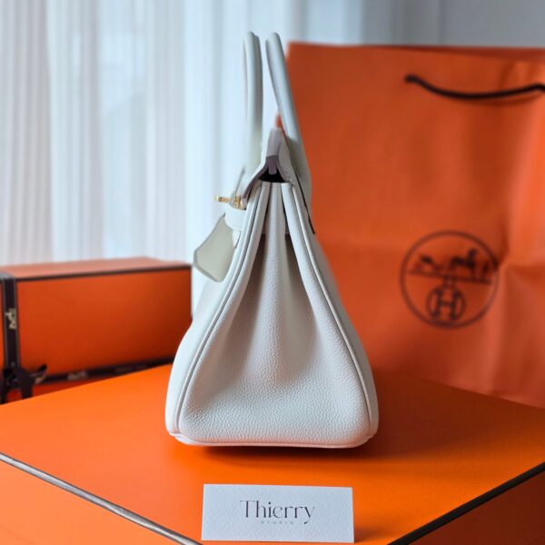 Birkin 25 Togo Mushroom GHW