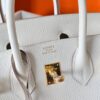 Birkin 25 Togo Mushroom GHW