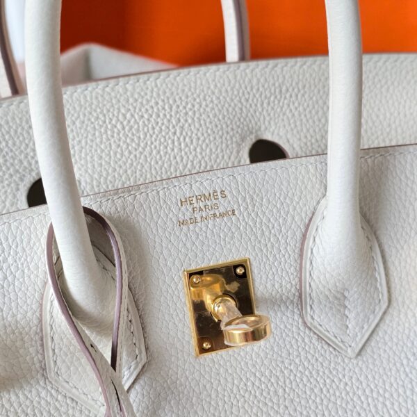 Birkin 25 Togo Mushroom GHW