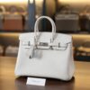 Birkin 25 Togo Mushroom PHW