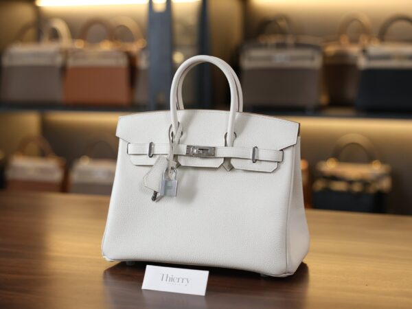 버킨 25 토고 머쉬룸 은장 001_139A6206 Birkin 25 Togo Mushroom PHW