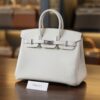 Birkin 25 Togo Mushroom PHW