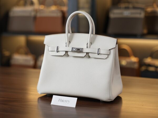 Birkin 25 Togo Mushroom PHW