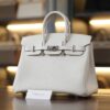 Birkin 25 Togo Mushroom PHW