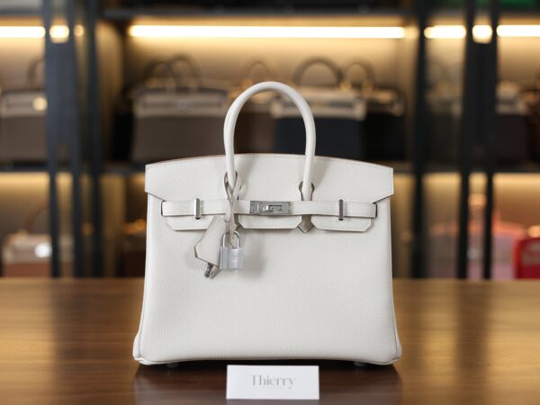 Birkin 25 Togo Mushroom PHW