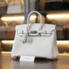 Birkin 25 Togo Mushroom PHW