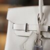 Birkin 25 Togo Mushroom PHW