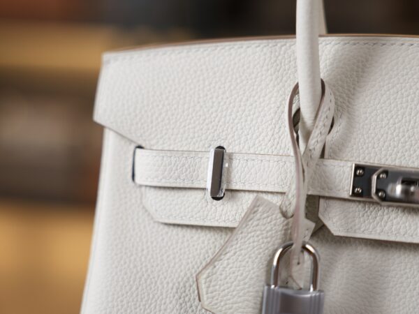 Birkin 25 Togo Mushroom PHW