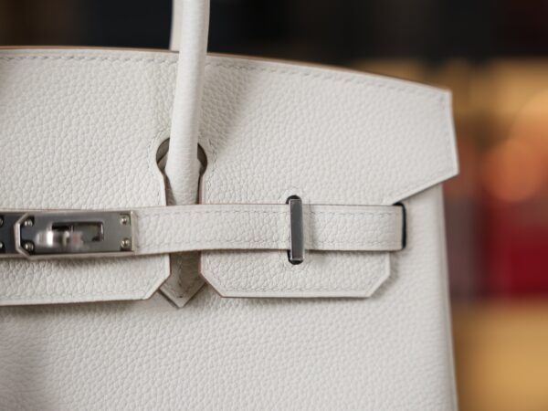 Birkin 25 Togo Mushroom PHW