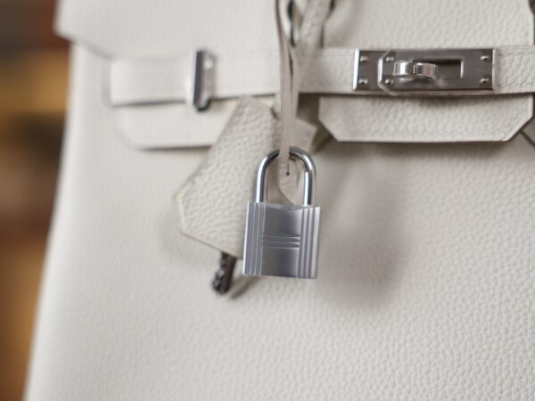 Birkin 25 Togo Mushroom PHW