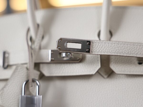 Birkin 25 Togo Mushroom PHW