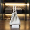 Birkin 25 Togo Mushroom PHW