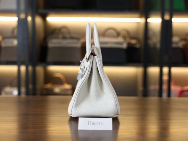 Birkin 25 Togo Mushroom PHW