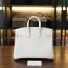 Birkin 25 Togo Mushroom PHW