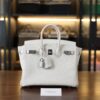 Birkin 25 Togo Mushroom PHW