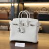 Birkin 25 Togo Mushroom PHW