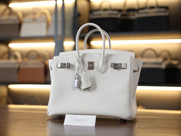 Birkin 25 Togo Mushroom PHW