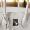 Birkin 25 Togo Mushroom PHW