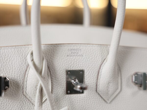 Birkin 25 Togo Mushroom PHW