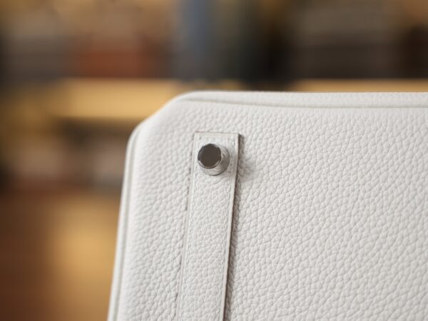Birkin 25 Togo Mushroom PHW