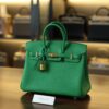 Birkin 25 Togo Bamboo GHW