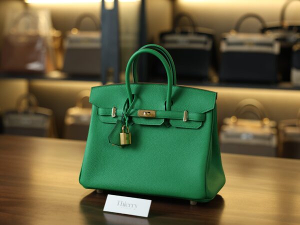 버킨 25 토고 뱀부 금장 001_139A8319 Birkin 25 Togo Bamboo GHW