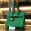 Birkin 25 Togo Bamboo GHW