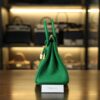 Birkin 25 Togo Bamboo GHW