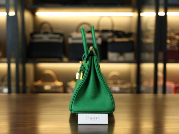 Birkin 25 Togo Bamboo GHW