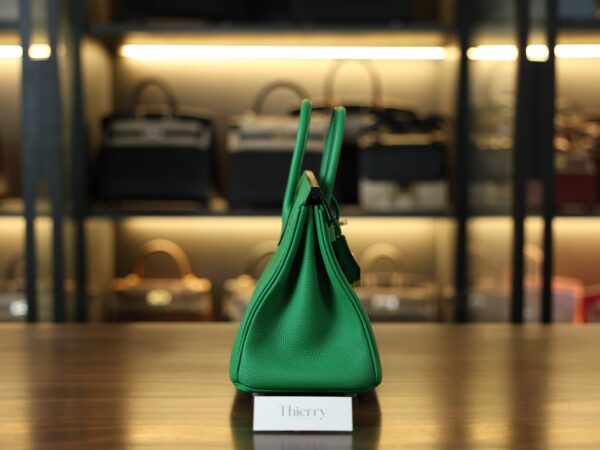 Birkin 25 Togo Bamboo GHW
