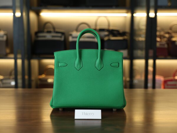 Birkin 25 Togo Bamboo GHW