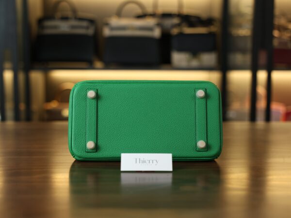 Birkin 25 Togo Bamboo GHW