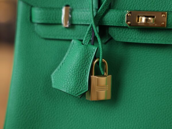 Birkin 25 Togo Bamboo GHW